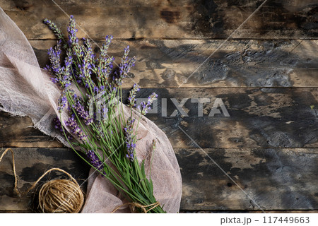 Fresh lavender plant Fresh lavender plant 117449663