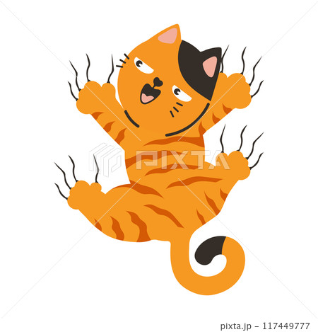 Funny orange cat hanging on the wall Funny orange cat hanging on the wall 117449777
