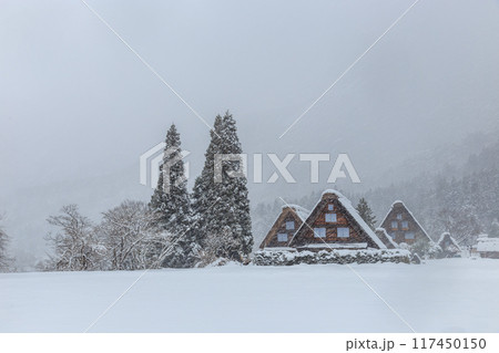 雪に覆われた冬の世界文化遺産　白川村（白川郷）　岐阜県 117450150