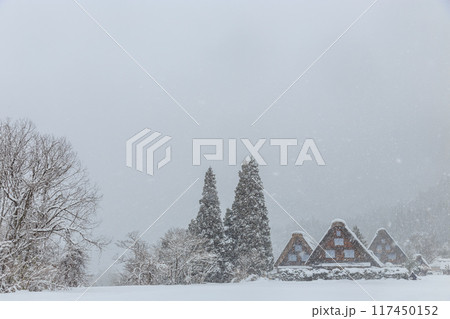 雪に覆われた冬の世界文化遺産　白川村（白川郷）　岐阜県 117450152
