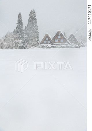 雪に覆われた冬の世界文化遺産 白川村(白川郷) 岐阜県 雪に覆われた冬の世界文化遺産 白川村(白川郷) 岐阜県 117450171