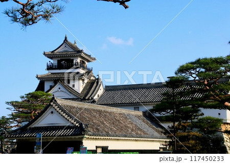 高知城・城郭(高知県・高知市) 高知城・城郭(高知県・高知市) 117450233