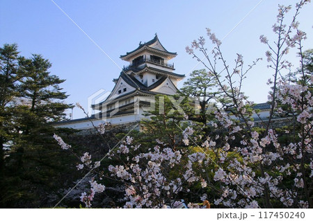 高知城・城郭（高知県・高知市） 117450240