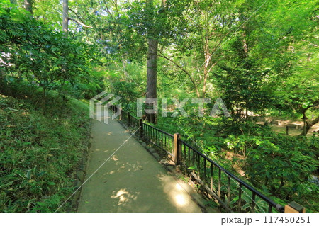 東京都・港区・有栖川宮記念公園 117450251