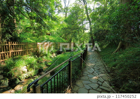 東京都・港区・有栖川宮記念公園 117450252