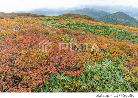 宮城県 秋の栗駒岳の紅葉登山 宮城県 秋の栗駒岳の紅葉登山 117450386