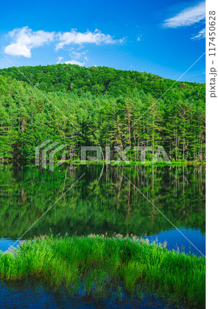 夏空と御射鹿池 117450628