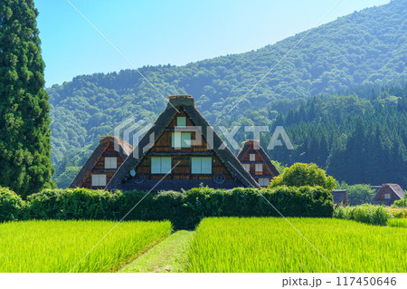 夏の白川郷の合掌造りと合掌集落 夏の白川郷の合掌造りと合掌集落 117450646