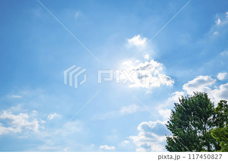 夏の雲と木立 117450827