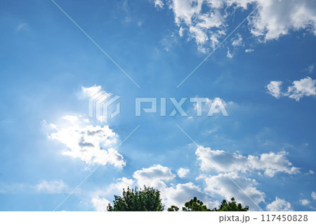夏の雲と木立 夏の雲と木立 117450828
