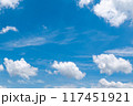 青空と白い雲 117451921