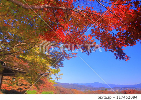 大河内山荘( 京都市右京区)大乗閣前の紅葉 大河内山荘( 京都市右京区)大乗閣前の紅葉 117452094