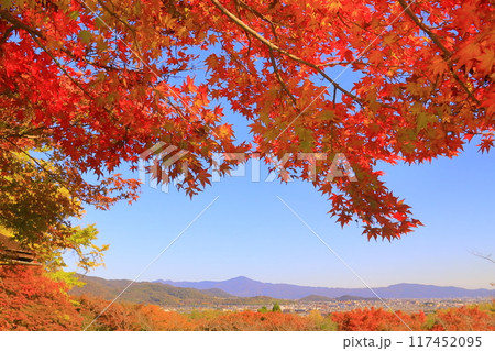 大河内山荘（ 京都市右京区）大乗閣前の紅葉 117452095