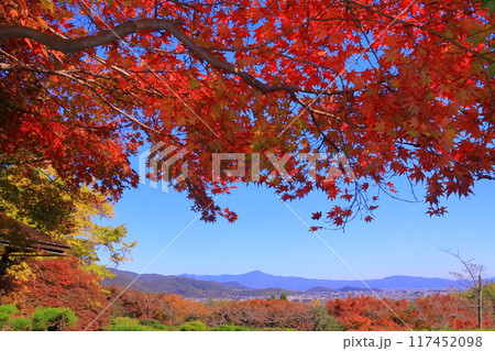 大河内山荘( 京都市右京区)大乗閣前の紅葉 大河内山荘( 京都市右京区)大乗閣前の紅葉 117452098
