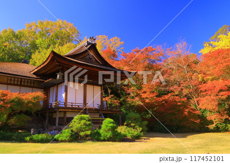 大河内山荘（ 京都市右京区）大乗閣前の紅葉 117452101