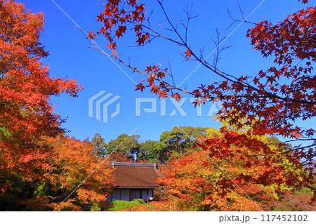 大河内山荘( 京都市右京区)大乗閣前の紅葉 大河内山荘( 京都市右京区)大乗閣前の紅葉 117452102