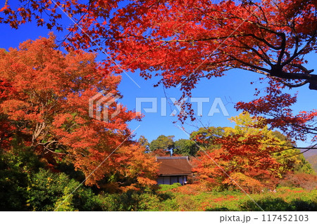 大河内山荘( 京都市右京区)大乗閣前の紅葉 大河内山荘( 京都市右京区)大乗閣前の紅葉 117452103