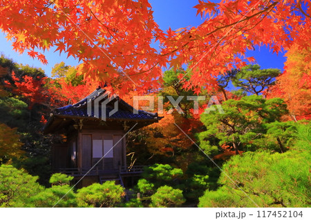 大河内山荘( 京都市右京区)持仏堂前の紅葉 大河内山荘( 京都市右京区)持仏堂前の紅葉 117452104