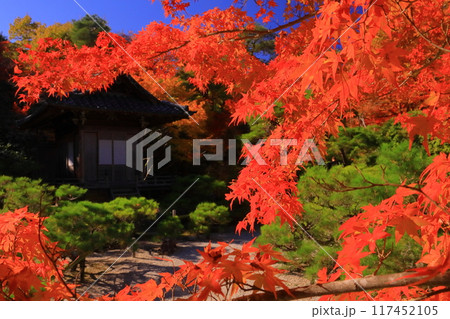 大河内山荘( 京都市右京区)持仏堂前の紅葉 大河内山荘( 京都市右京区)持仏堂前の紅葉 117452105