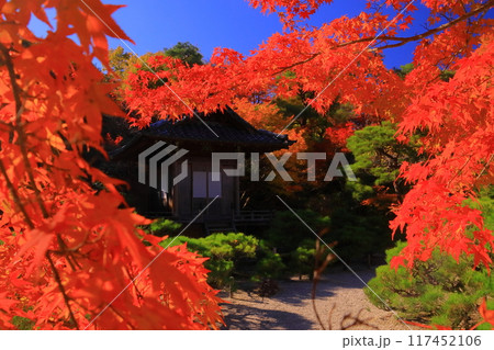 大河内山荘( 京都市右京区)持仏堂前の紅葉 大河内山荘( 京都市右京区)持仏堂前の紅葉 117452106