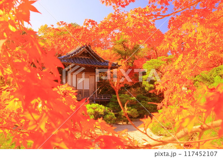 大河内山荘（ 京都市右京区）持仏堂前の紅葉 117452107