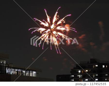 マンションの向こうに見えた戸田橋花火大会 117452535