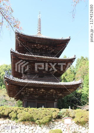 三井寺の三重塔 117452680