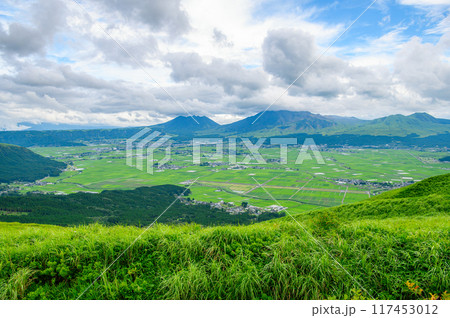 阿蘇国立公園 大観峰からの一望 阿蘇国立公園 大観峰からの一望 117453012