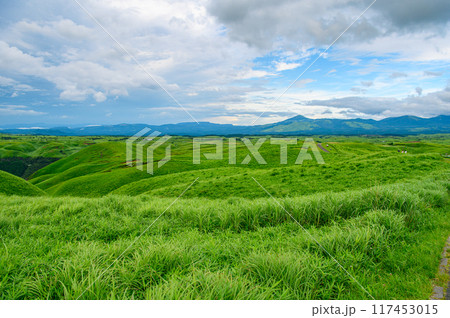 阿蘇国立公園 大観峰からの一望 117453015