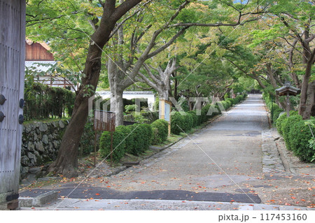 滋賀県大津市にある「西教寺の参道」 滋賀県大津市にある「西教寺の参道」 117453160