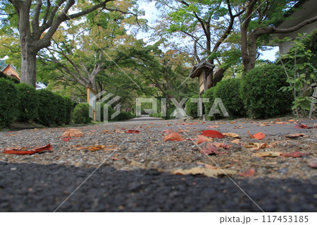 滋賀県大津市にある「西教寺の参道」 117453185