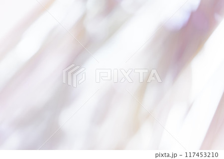 光と影・グレー 背景素材 117453210