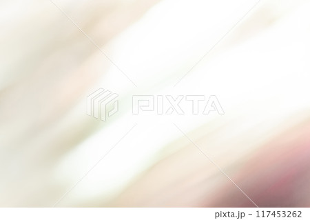 光と影・グレー 背景素材 117453262