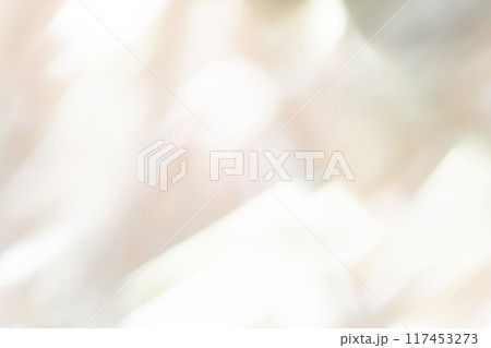 光と影・グレー 背景素材 117453273