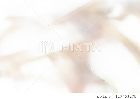 光と影・グレー 背景素材 117453279