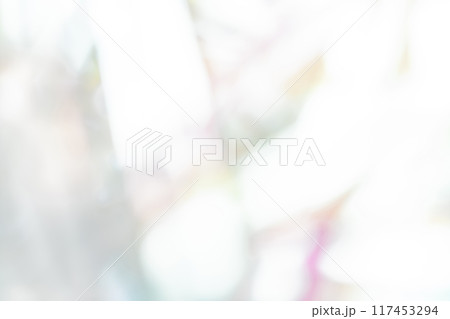 光と影・グレー 背景素材 117453294