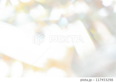 光と影・グレー 背景素材 117453298