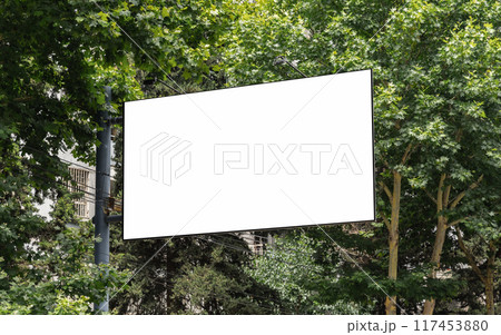 Blank billboard on among trees Blank billboard on among trees 117453880
