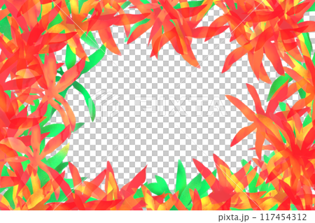 テランセラの花のカード1 117454312