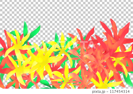 Terransera flower card 3 117454314