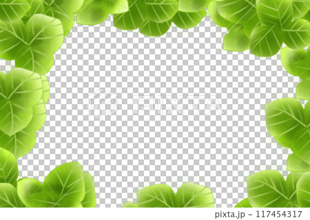 テランセラの葉のカード3 117454317
