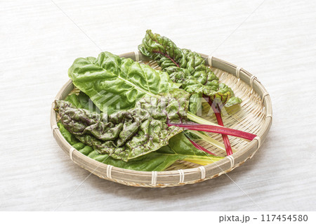 新鮮なスイスチャード　緑黄色野菜　穫れたてのフダンソウ　葉物野菜　健康野菜　 117454580