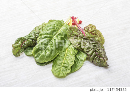 新鮮なスイスチャード　緑黄色野菜　穫れたてのフダンソウ　葉物野菜　健康野菜　 117454583