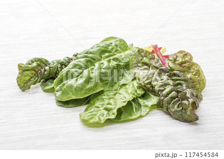 新鮮なスイスチャード　緑黄色野菜　穫れたてのフダンソウ　葉物野菜　健康野菜　 117454584