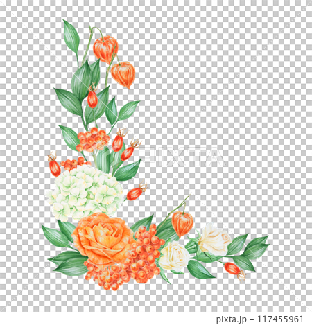 Orange and white roses, hydrangea, rowan berries and rose hips. Hand drawn watercolor isolated corner frame with fall vegetables and plants for banner template with copy space for text Orange and white roses, hydrangea, rowan berries and rose hips. Hand drawn watercolor isolated corner frame with fall vegetables and plants for banner template with copy space for text 117455961