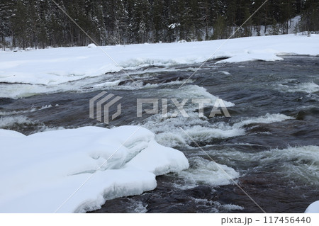 Magic winter waterfall Storforsen, North of Sweden Magic winter waterfall Storforsen, North of Sweden 117456440