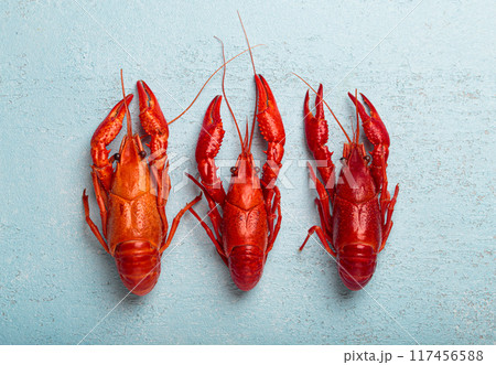 Three whole cooked crawfish lying on blue background top view 117456588