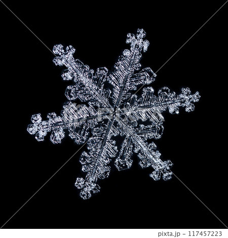 snapshot of a small snowflake taken during a snowfall snapshot of a small snowflake taken during a snowfall 117457223