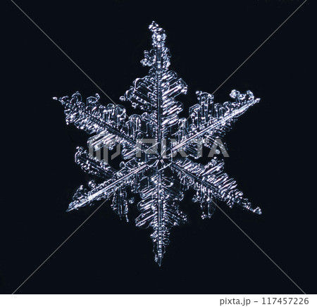 snapshot of a small snowflake taken during a snowfall snapshot of a small snowflake taken during a snowfall 117457226