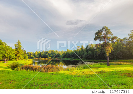 Stunning summer landscape with a lake, sunnyfield, big tree 117457552